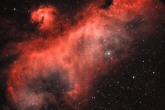seagull-nebula