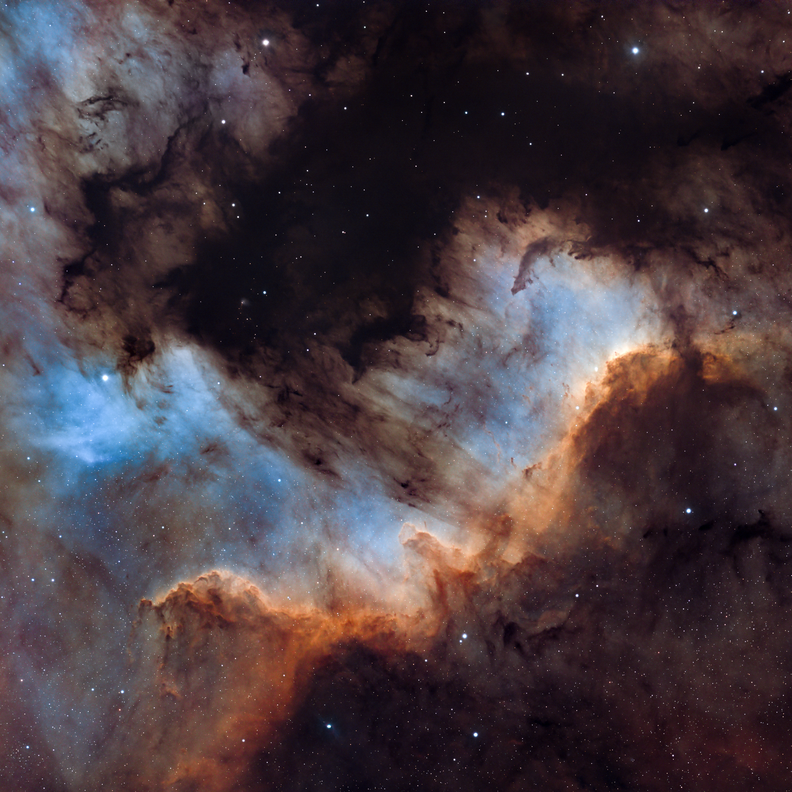 Cygnus Wall in the North America Nebula photographed by Deep Sky Hawaiʻi