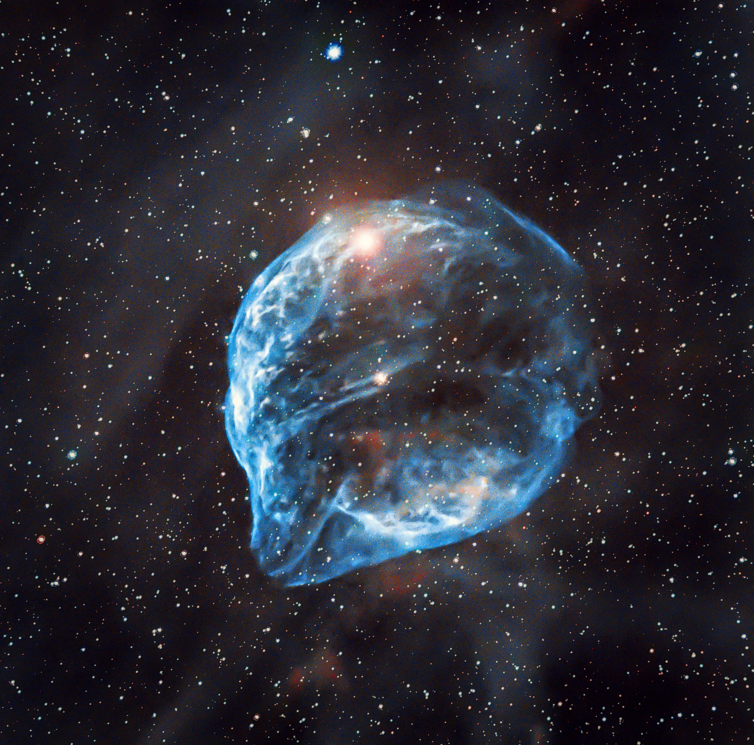 Dolphin Head Nebula Sh2-308