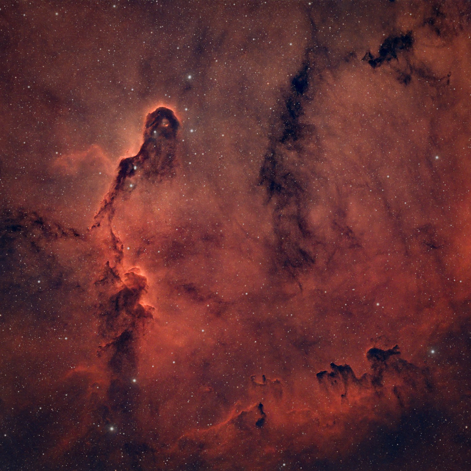 Elephant’s Trunk Nebula IC 1396A photographed by Deep Sky Hawaiʻi