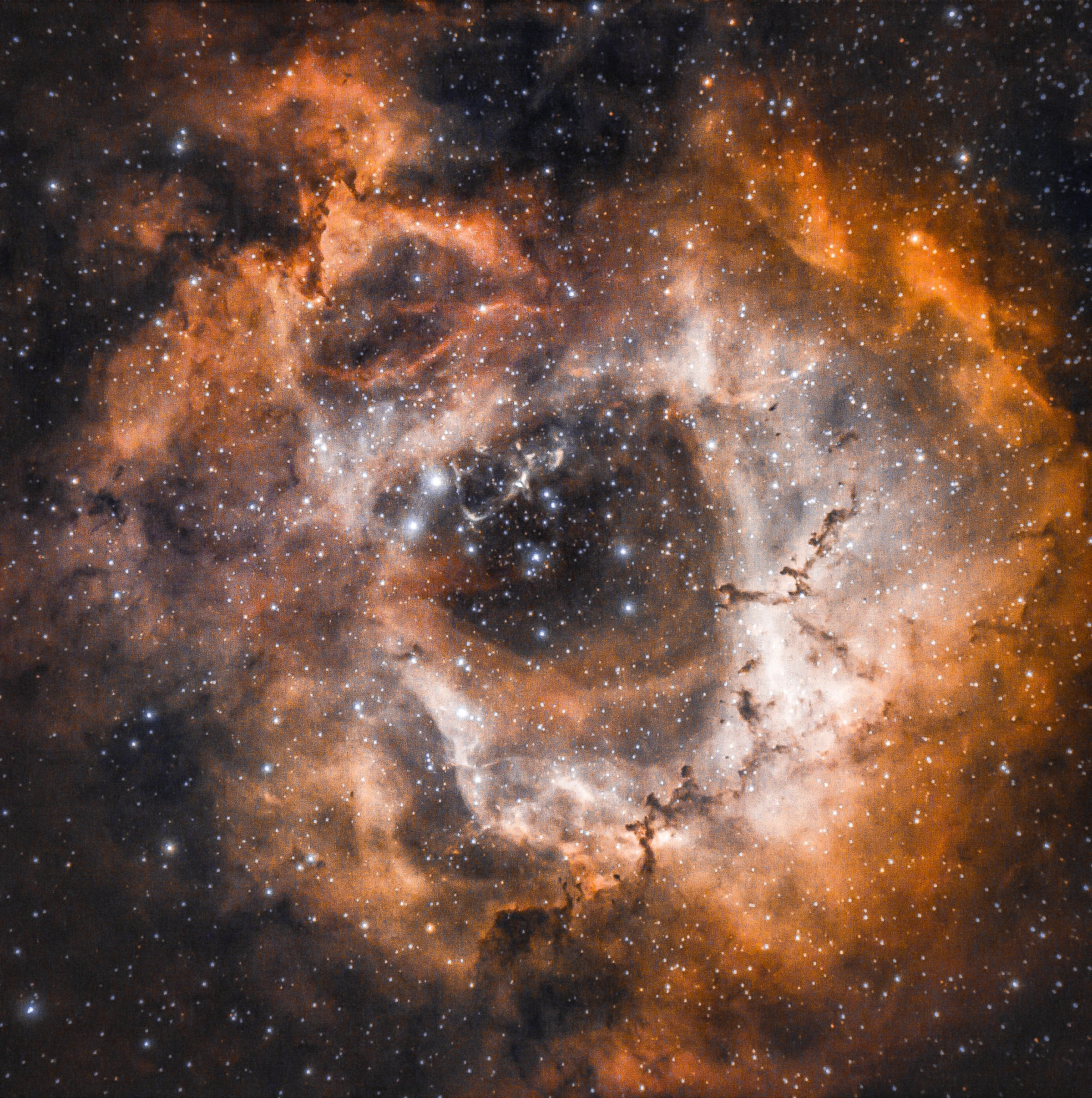Rosette Nebula