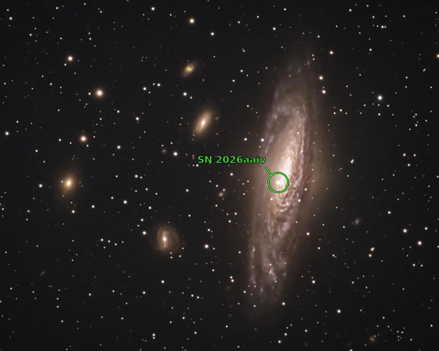 SN 2026aaiv annotated in NGC 7331